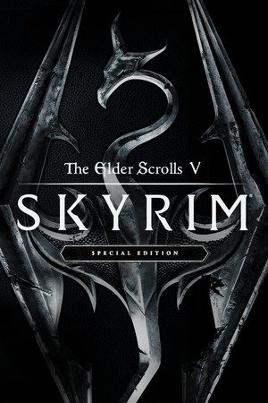 Skyrim cover art